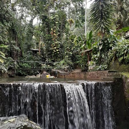 Ferienwohnung Toca Da Onca Penedo  Exterior foto